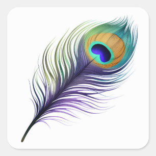 Sticker Carré Plumes de Peacock violet et bleu