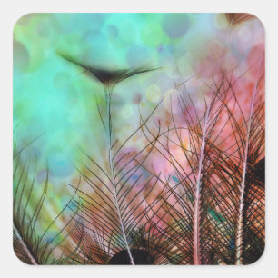 Sticker Carré Plumes Pastel Peacock