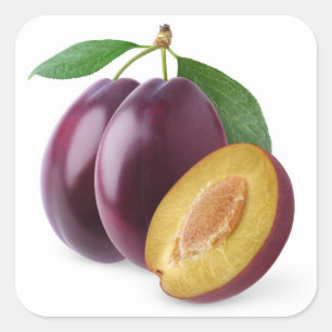 Sticker Carré Plums pourpres