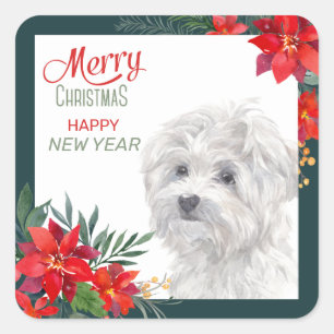 Sticker Carré Poinsettie de chien maltais frontière Noël