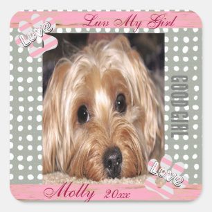 Sticker Carré Pois photo personnalisés de chien