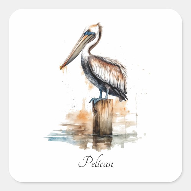 Sticker Carré Poise du Pélican (Devant)