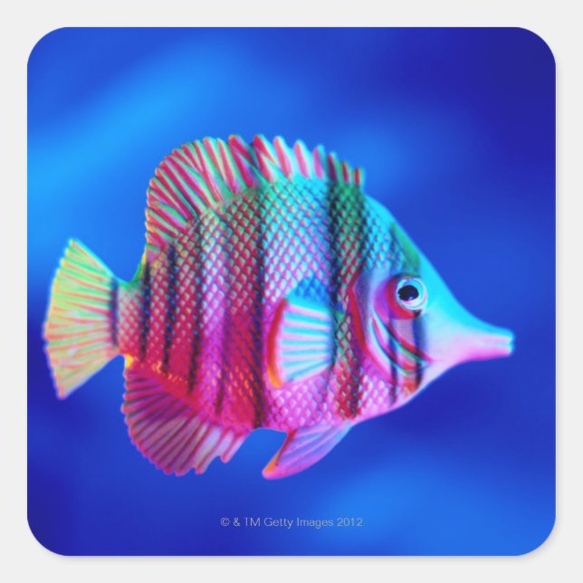 Sticker Carré Poisson tropical (Devant)
