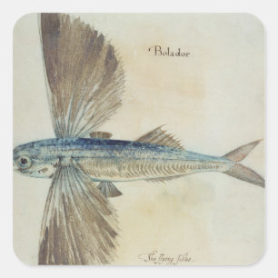 Sticker Carré Poisson volant