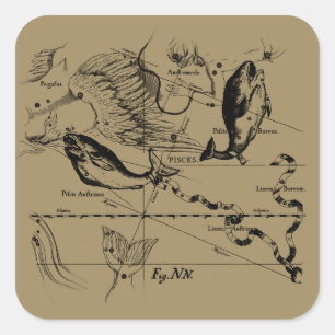 Sticker Carré Poissons Constellation Hevelius 1690 Décor