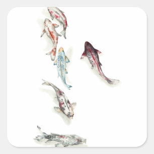 Sticker Carré Poissons de Koi d'aquarelle