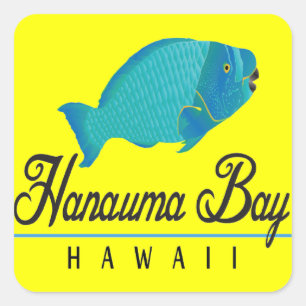 Sticker Carré Poissons de perroquet d'Hawaï de baie de Hanauma