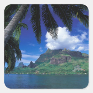 Sticker Carré Polynésie française, Moorea. Baie de Cook. Vert