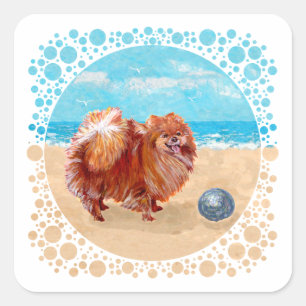 Sticker Carré Pomeranian au bord de la mer
