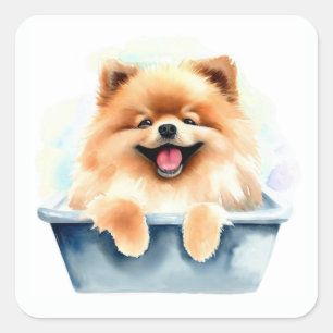 Sticker Carré Pomeranian Dog
