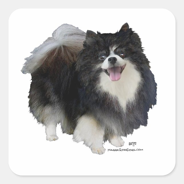 Sticker Carré Pomeranian noir (Devant)