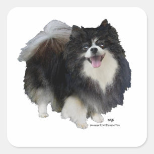 Sticker Carré Pomeranian noir