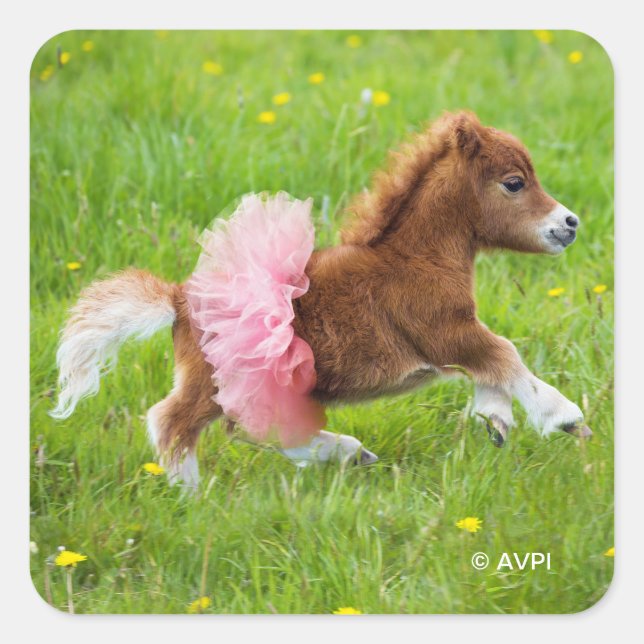 Sticker Carré Pony à Tutu (Devant)