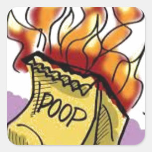 Sticker Carré Poo flamboyant