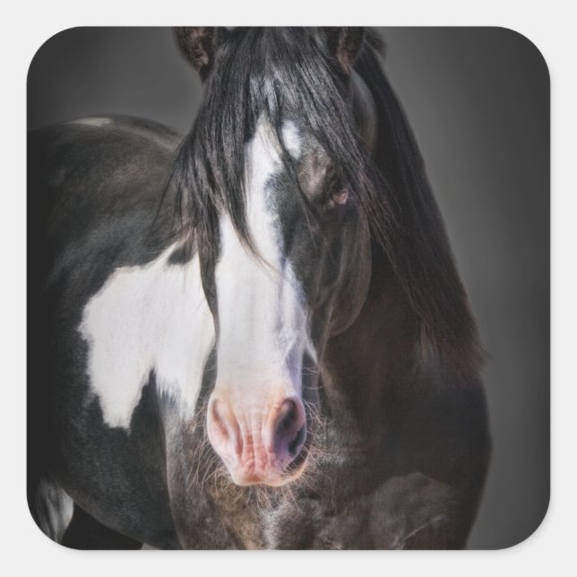 Sticker Carré Portrait de cheval II (Devant)