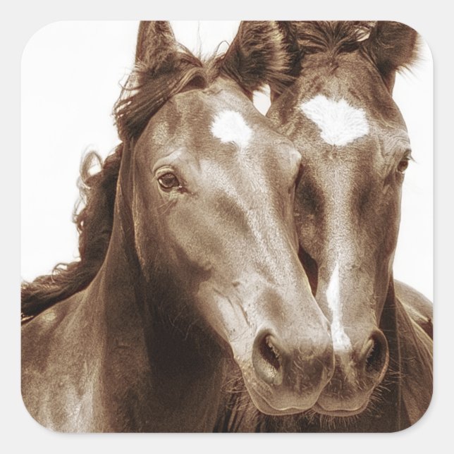 Sticker Carré Portrait de cheval III (Devant)