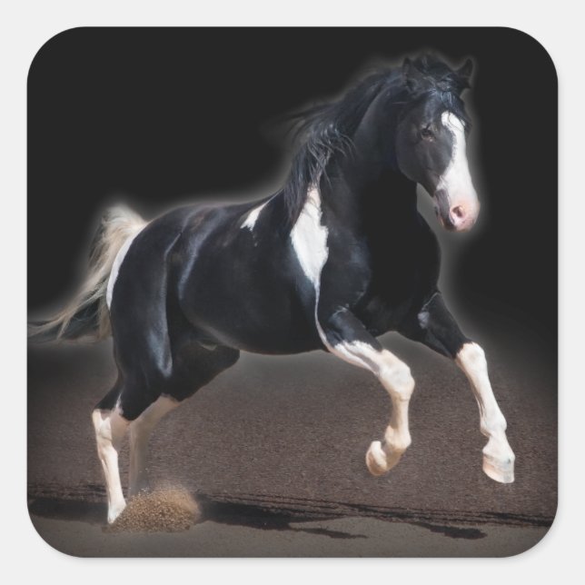 Sticker Carré Portrait de cheval VIII (Devant)