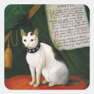 Sticker Carré Portrait du chat Armellino