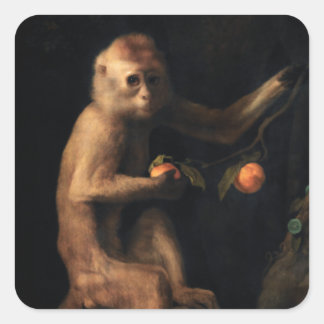 Sticker Carré Portrait d'un singe