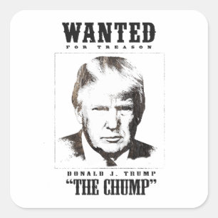 Sticker Carré Poster Recherché de Trump - Trump