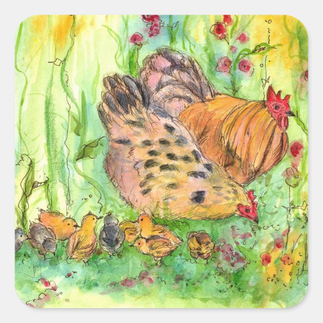 Sticker Carré Poulet Famille Aquarelle Oiseau Ferme Animal (Devant)
