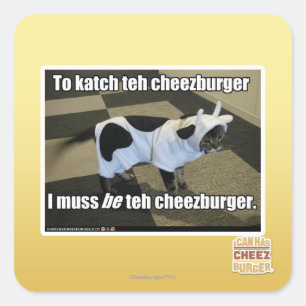 Sticker Carré Pour faire katch le cheezburger