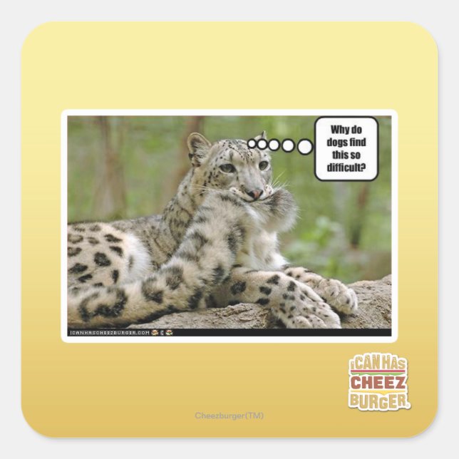 Sticker Carré Pourquoi les chiens trouvent-ils cela si difficile (Devant)