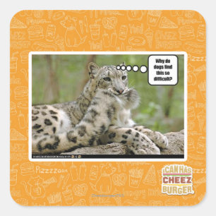 Sticker Carré Pourquoi les chiens trouvent-ils cela si difficile