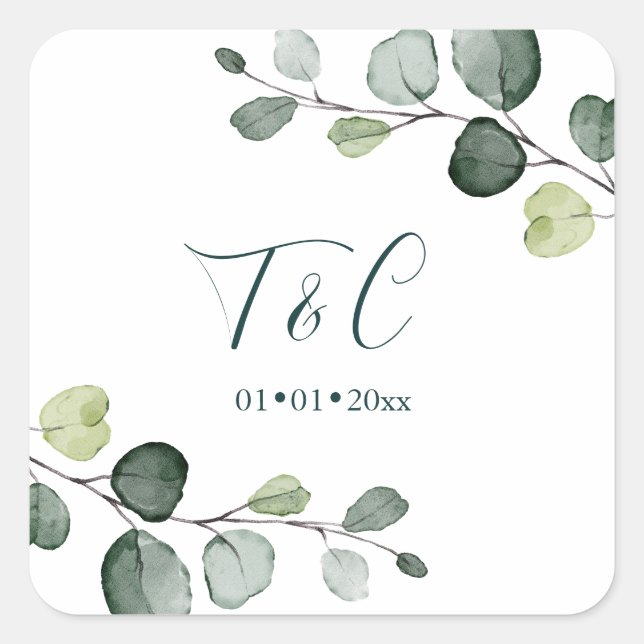 Sticker Carré Pousses de feuillage aquarelle d'eucalyptus PixDez (Devant)