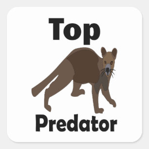 Sticker Carré Prédateur Supérieur Carnivore Fossa Madagascar