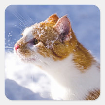 premier hiver