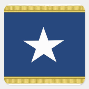 Sticker Carré Premiers volontaires mignons du Texas Cofederate