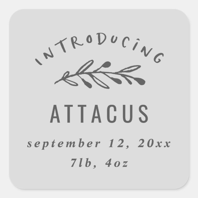 Sticker Carré Présentation du faire-part de naissance des branch (Devant)