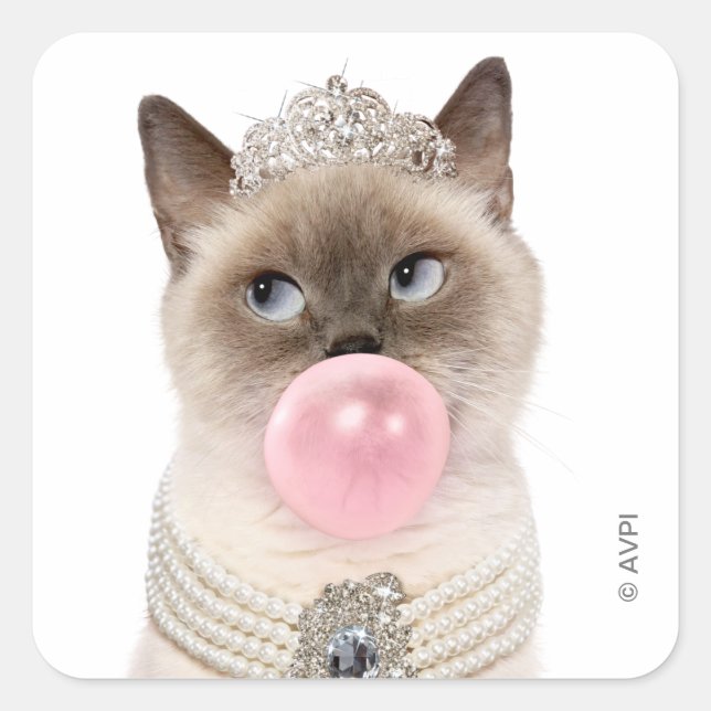 Sticker Carré Princesse Chat soufflant de bulle gomme (Devant)
