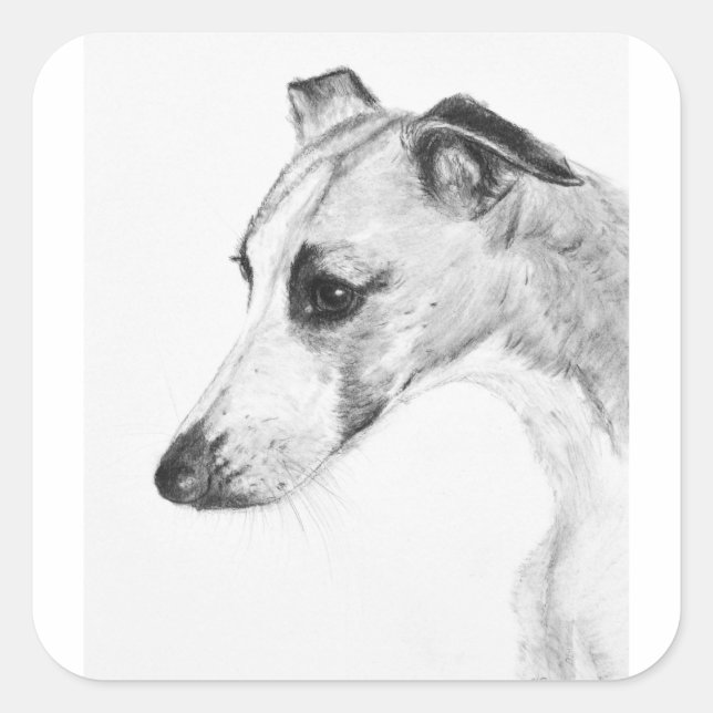 Sticker Carré Profil Whippet (Devant)