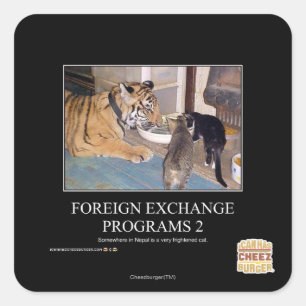 Sticker Carré Programmes de change 2