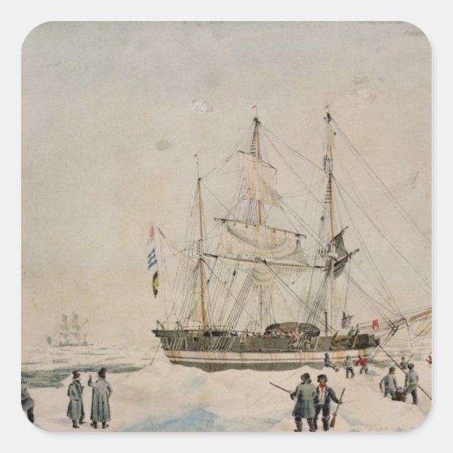 Sticker Carré Promenade dans le pack, Ross Expédition, 1842 (Devant)