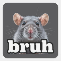 Propriétaire de rat fantaisie Mème Bruh Amoureux d