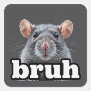 Sticker Carré Propriétaire de rat fantaisie Mème Bruh Amoureux d