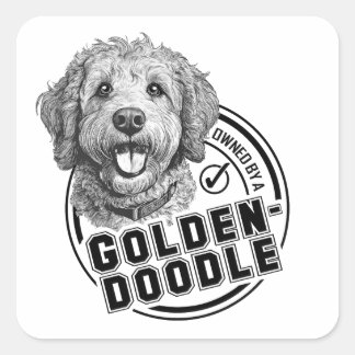 Sticker Carré Propriété d'un Goldendoodle