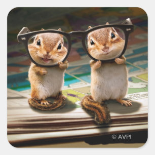 Sticker Carré Puces dans les lunettes de lecture
