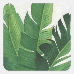 Sticker Carré Pura Vida - feuille tropical