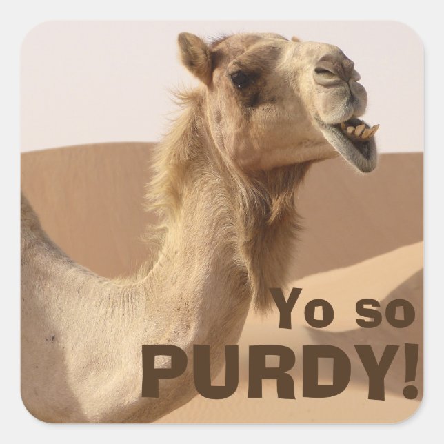 Sticker Carré Purdy Camel (Devant)