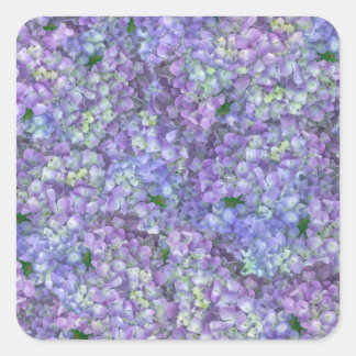 Sticker Carré Purple hydrangea flowers