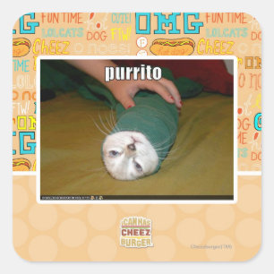 Sticker Carré purrito