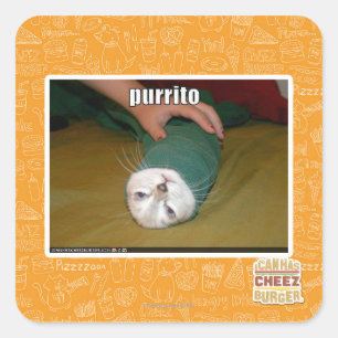 Sticker Carré purrito