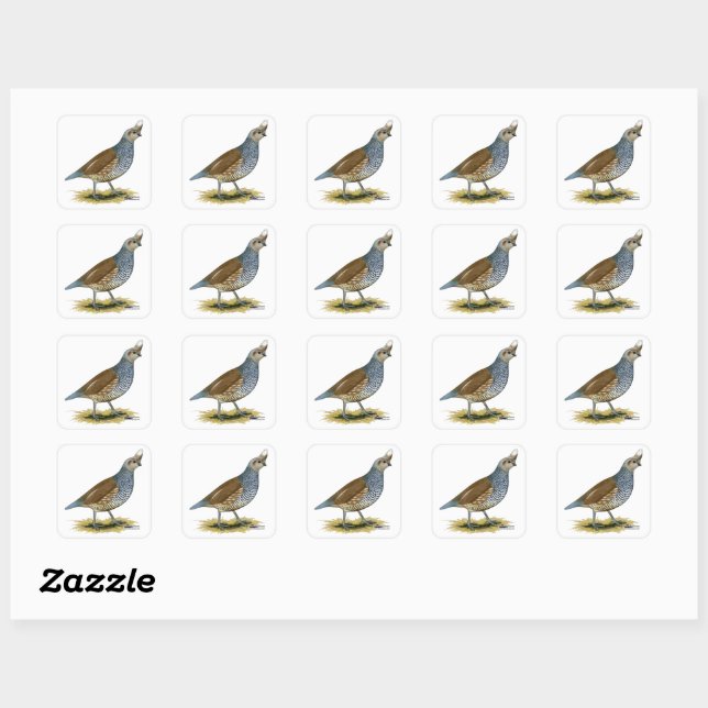Sticker Carré Quail à échelle (Feuille)