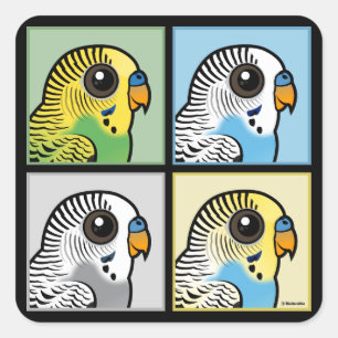 Sticker Carré Quatre perruches de couleur