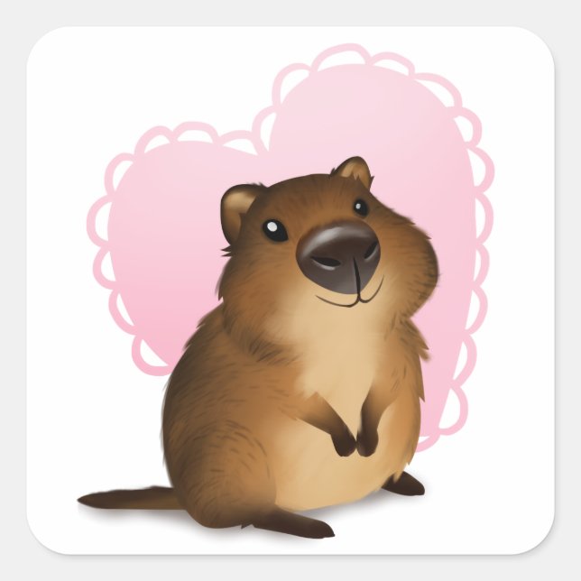 Sticker Carré Quokka (Devant)