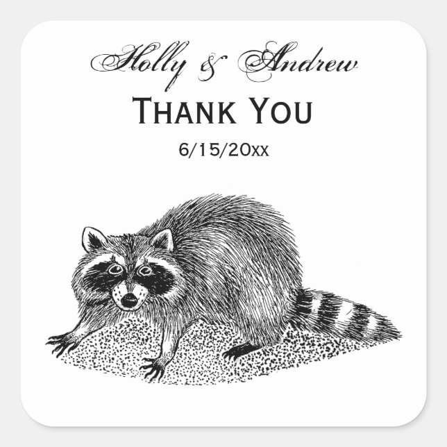 Sticker Carré Raccoon masqué vintage (Devant)